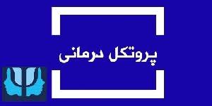 پروتکل معنا درمانی فرانکل (word) 11 صفحه